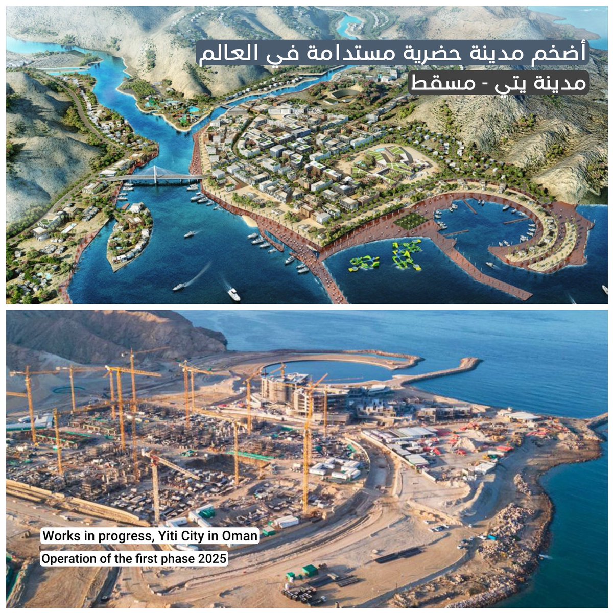 تـيـمــور الـعمـــــري tweet media