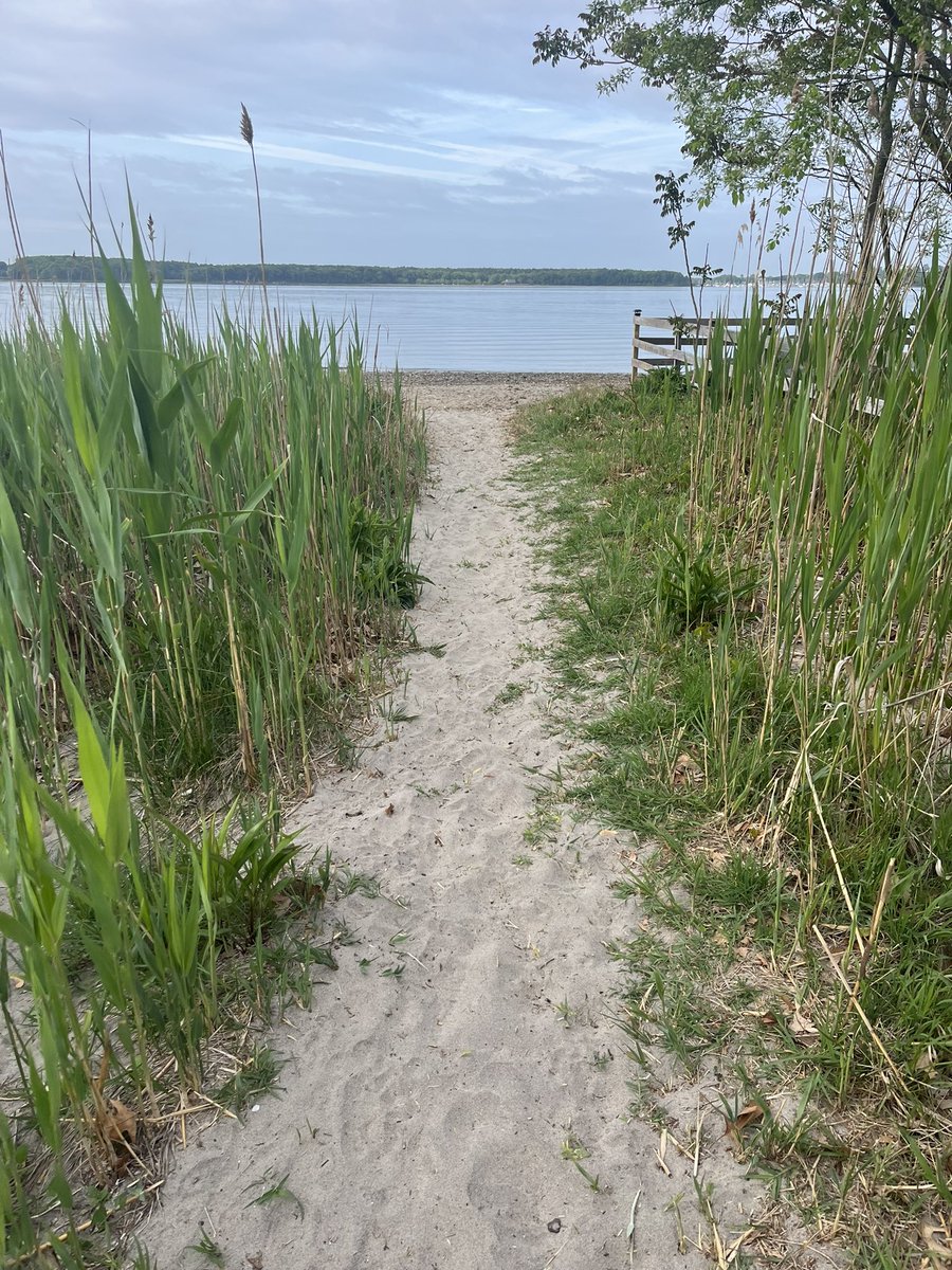 chrislb104's tweet photo. Bike, Before the 🌧️, beach clean. A few horseshoe crabs saved, that missed the ride. @2minuteHQ @LlangattockPick #buttonwoodsbeach #rinature https://t.co/wbNIoGnhhW