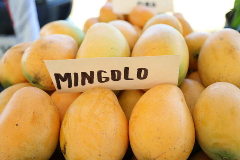 ListinDiario's tweet photo. #EnfoqueLD | Mi papá y el mango Mingolo
https://t.co/3v44tql1oR
Escrito por Joselyn Calderón
#ListínDiario https://t.co/uElF4Bgmrk