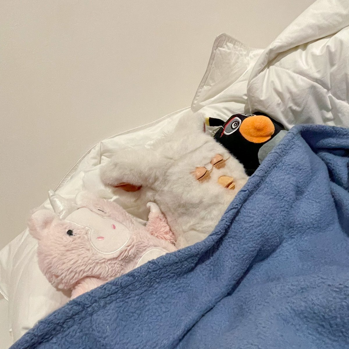 みんなでいっしょにゆめみるです💤
オヤスミー

#ファービー2 
#furby 
#ファービー