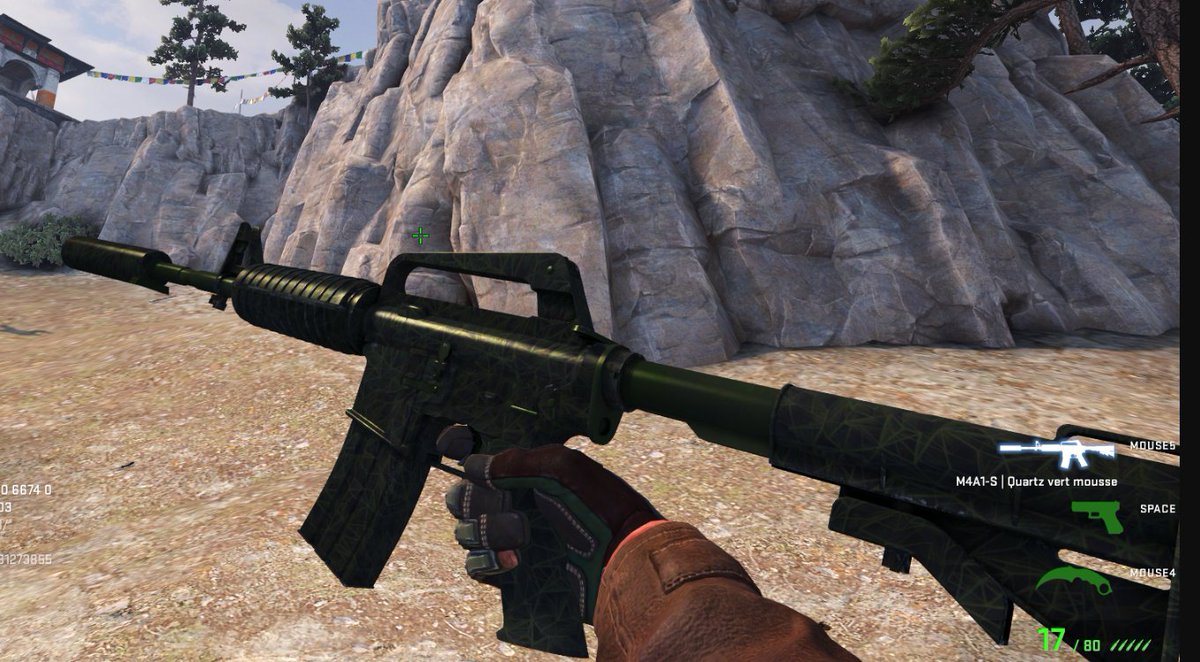 ForestHuntCS tweet picture