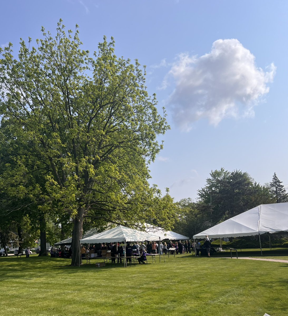 ReadForLiteracy's tweet photo. It’s a beautiful day at @MaumeeLibrary for @ClairesDay 2023 💜📚 https://t.co/3qjMqd0iAi