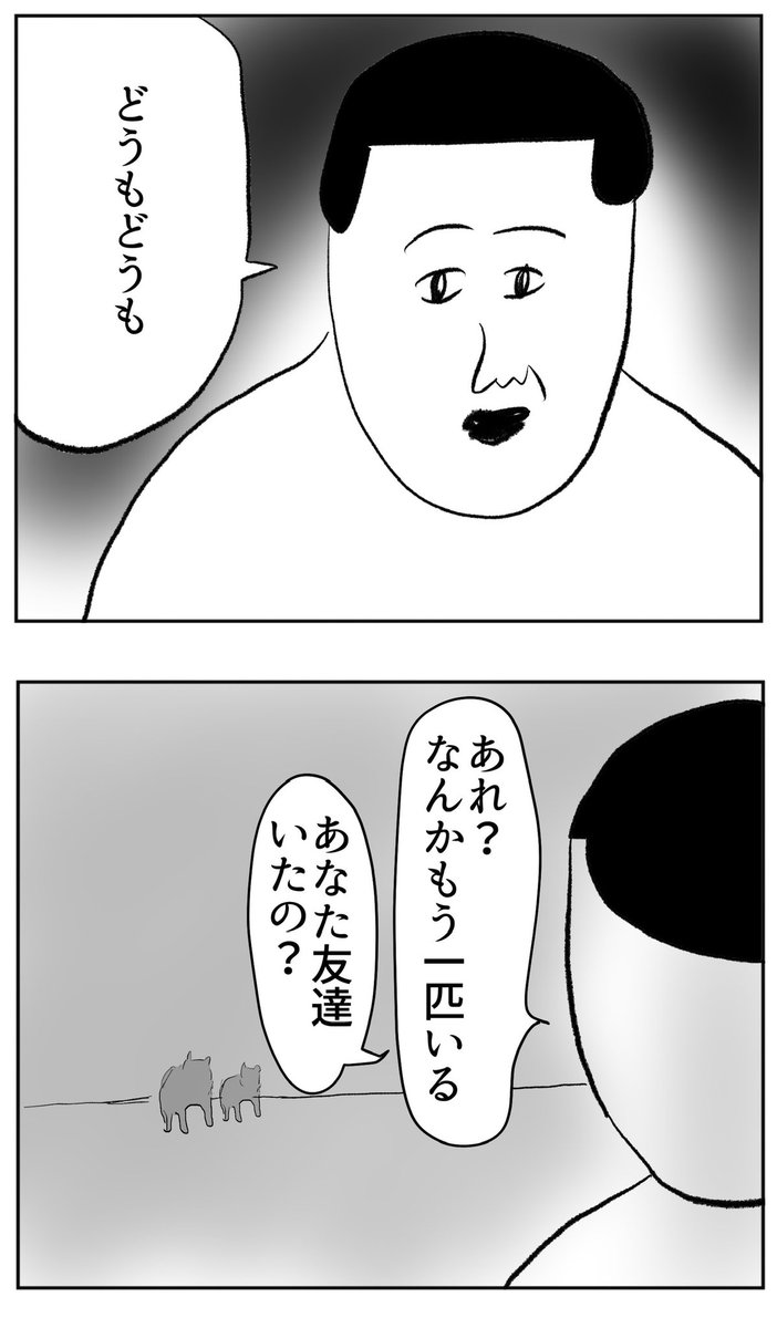 いつも会う猫さん bonjin-mame.blog.jp/archives…