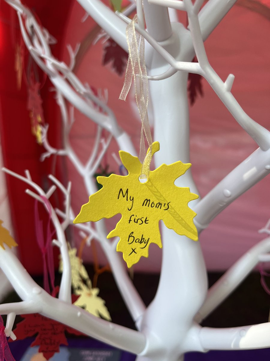LucieOReilly's tweet photo. What a beautiful day. A privilege to celebrate and remember loved ones lost with their lovely families at the @Bham_Childrens @BWH_NHS Woodland Walk. A big thank you to all who came💜❤️ https://t.co/U4JvnqG049