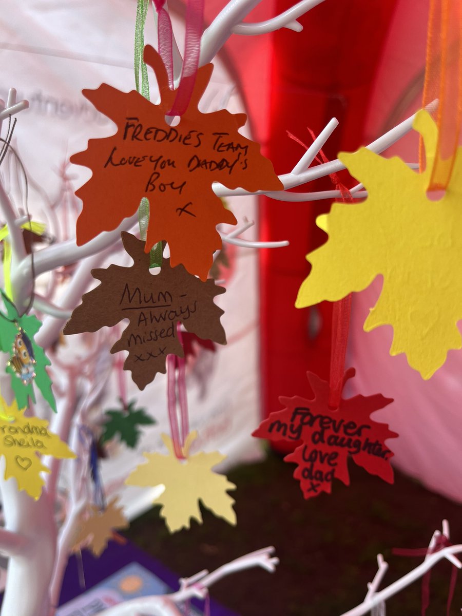 LucieOReilly's tweet photo. What a beautiful day. A privilege to celebrate and remember loved ones lost with their lovely families at the @Bham_Childrens @BWH_NHS Woodland Walk. A big thank you to all who came💜❤️ https://t.co/U4JvnqG049