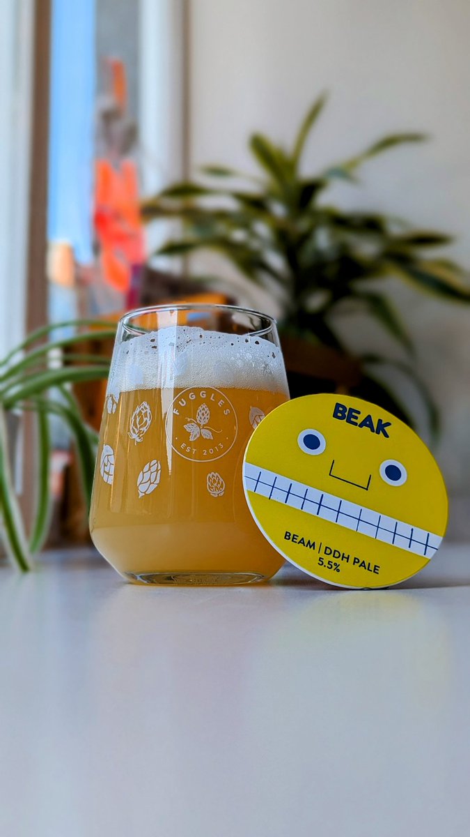Now on tap for drinking in or take out <a href="/TheBeakBrewery/">Beak</a> BEAM. Soft stone fruit notes with a lovely grapefruit bitterness. We're here until 9pm