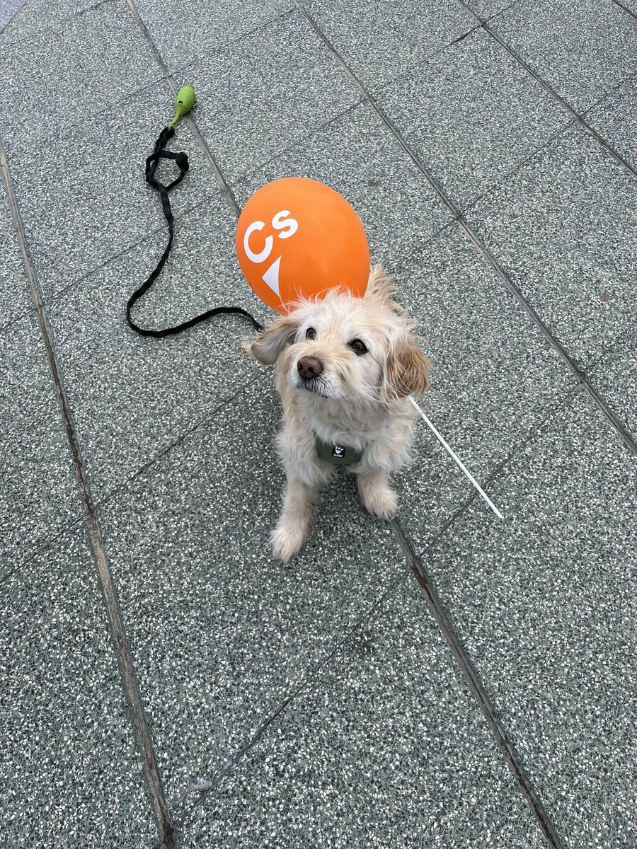 Benito tiene claro a quién votaría el #28M: <a href="/jcfsarasola/">Jose Carlos Fdez. Sarasola 🖤🇪🇸</a> y <a href="/loloinarra/">Manuel Iñarra</a> 🧡