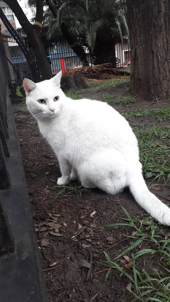 <a href="/VivireNuevaCba/">VivirenNuevaCórdoba®</a> alguien sabe que pasó con Blanquita Ferreyra? No la hemos visto hace días 😔