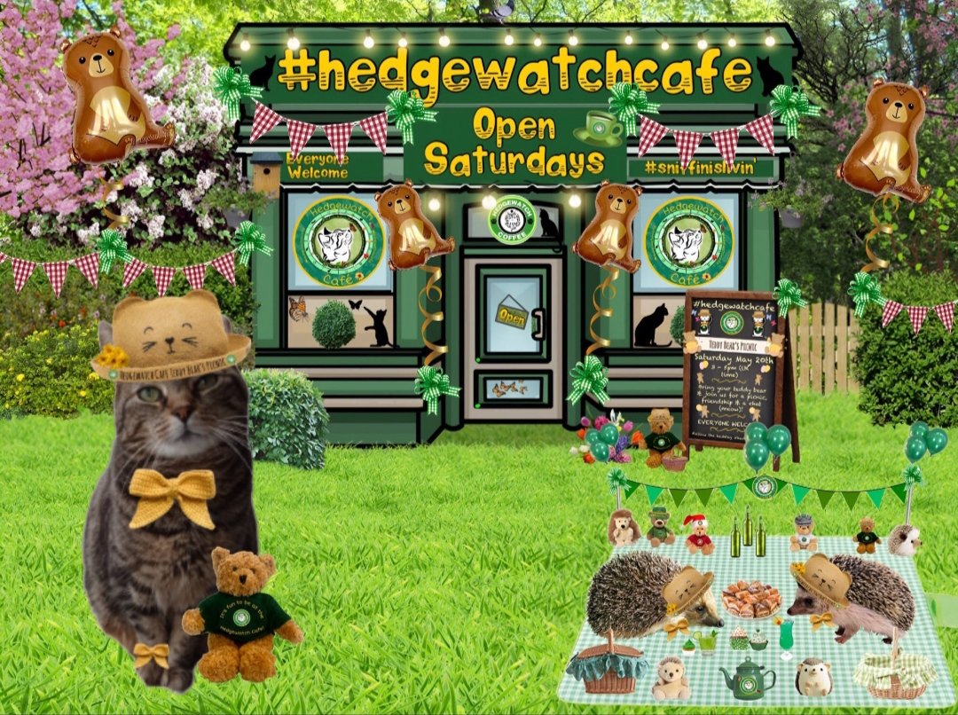 @Hedgewatchers @DomainDoris @Treespers42 @OliveFig2 @ENeavey @AnnebrindleAnne @JellyOzzy @km_caroline Gud afternoon furriends I'm so excited this is my first Teddy Bear's Picnic 😺#hedgewatchcafe
Could I please order the Picnic Sammige Selection and a Nippy Cream Shake.
