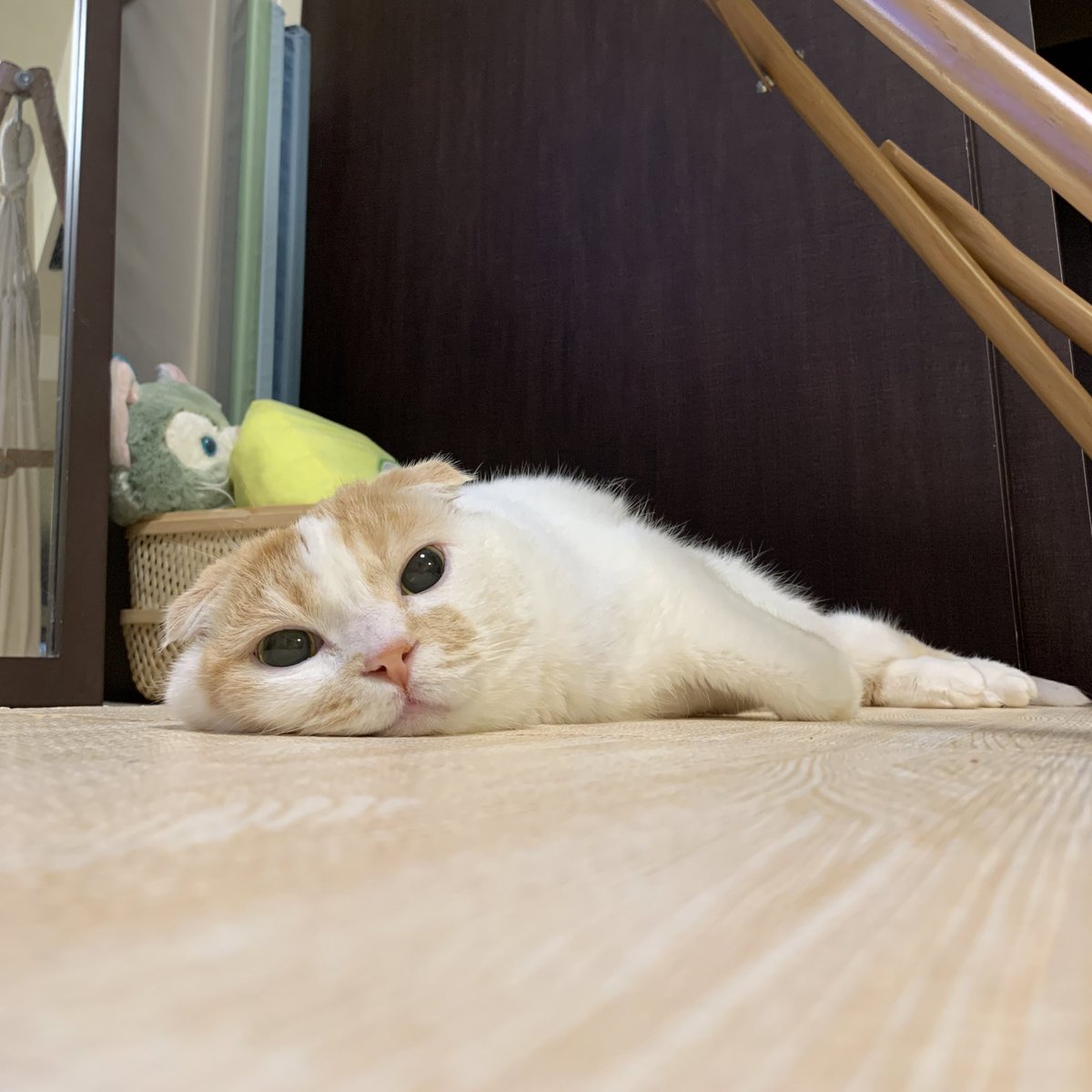 pookke's tweet photo. https://t.co/zPSNhslVcP