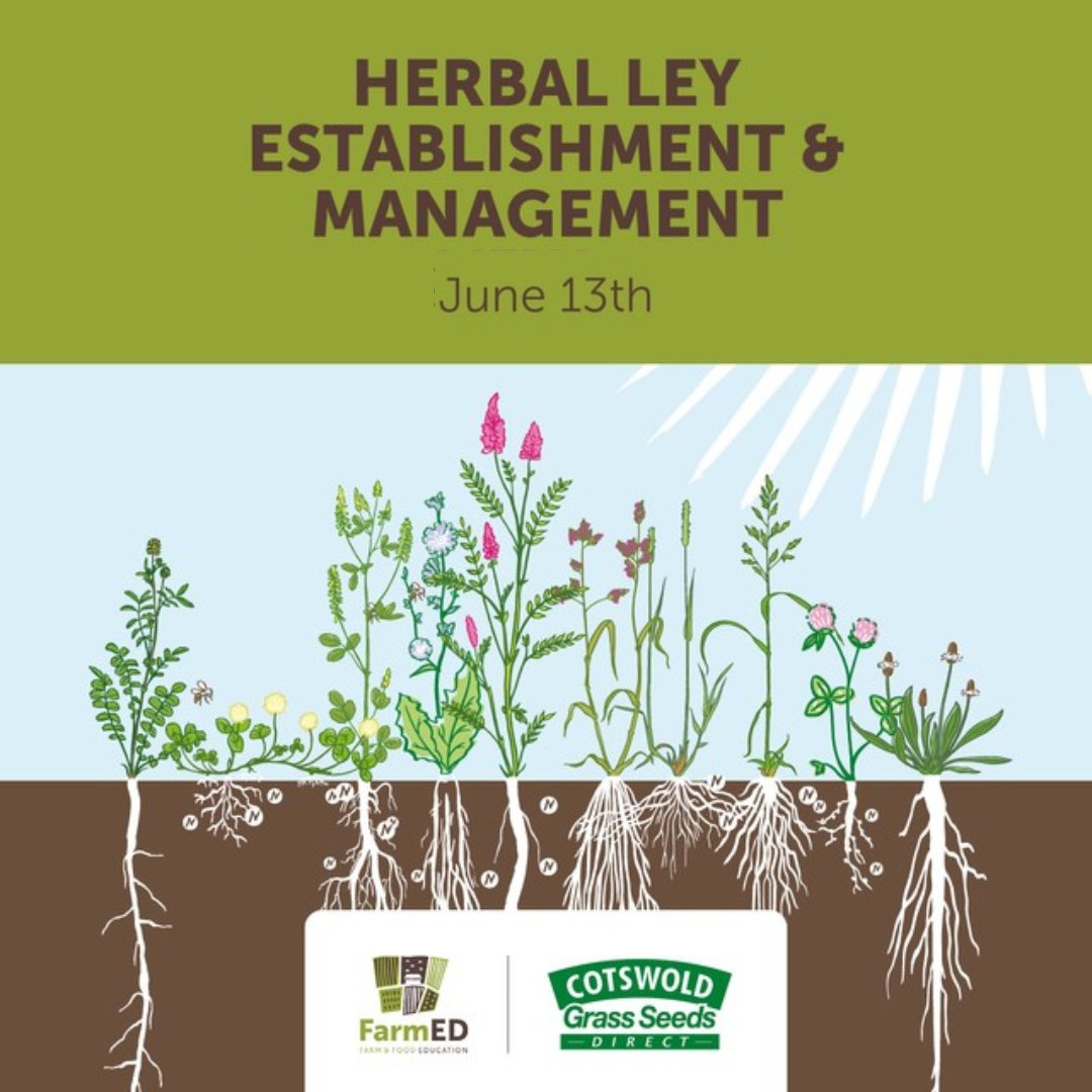 Join us for a one day course on Herbal Leys Establishment and Management brought to you by the FarmED team and #CotswoldsSeeds.

farm-ed.co.uk/event-details/…

#herballey #herballeymanagement #realfarmed #cotswoldseeds #soilfertility #soilhealth