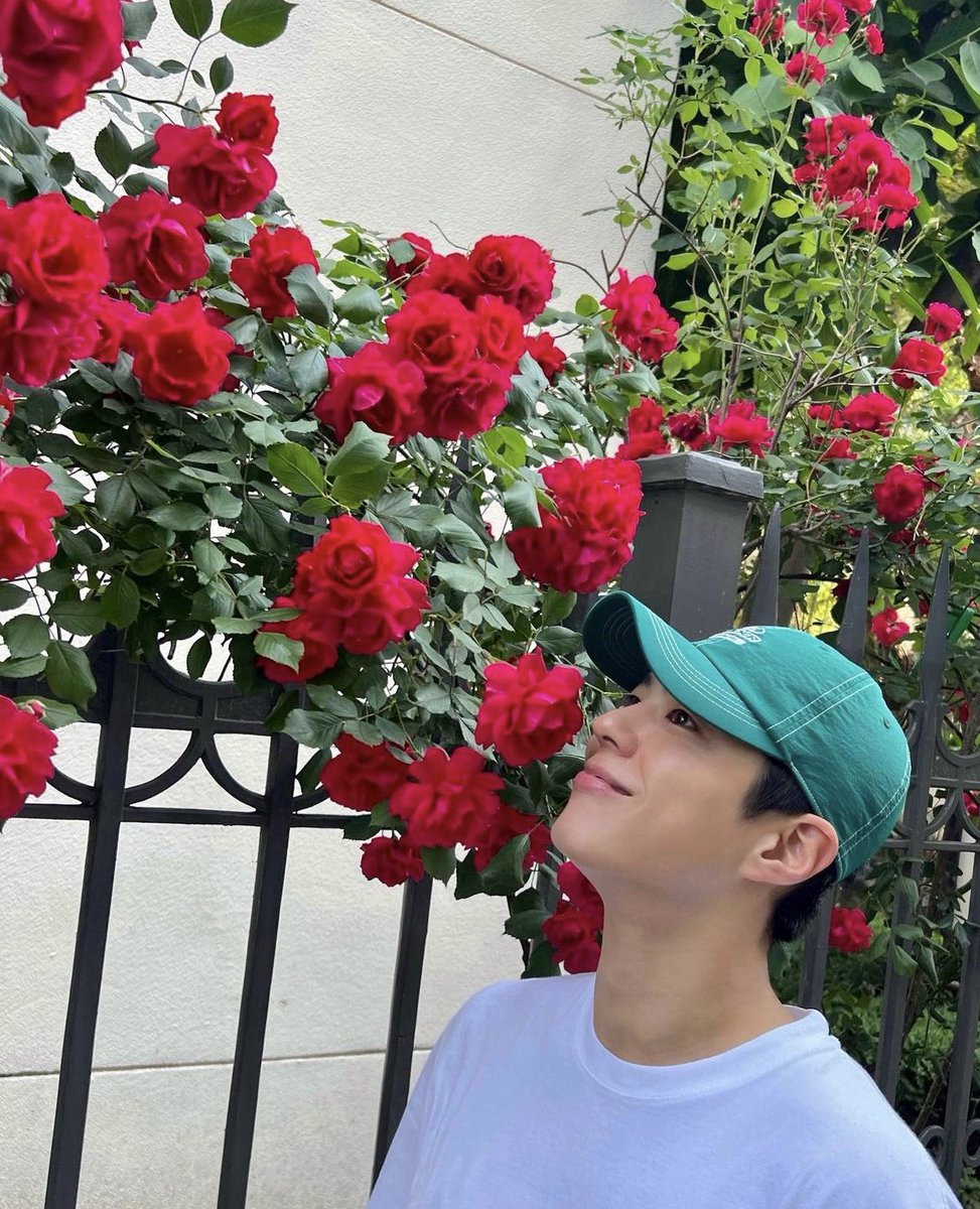 8hMYrRSYSkxYRle's tweet photo. @BOGUMMY 
Instaストーリーありがとう❤️
幸せの花束を抱え輝く未来を✨💕

보검씨의 행복을 공유시켜주세요❣️ 

#BOGUMMY
#박보검
#bugummy 
#空を見上げてごらん
#繋がってる https://t.co/ZzTPVY6zWR