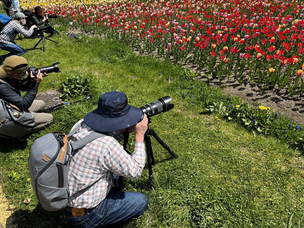 ニコンカレッジ春の風景写真トレーニング講座撮影実習で滝野すずらん丘陵公園に伺いました。

満開のチューリップと抜けるような青空の下のコンディションの中で風景写真をどう撮影するのか、考えられる３つのシチュエーションを実際に体験していただきました。

#ニコンカレッジ　#nikoncreator