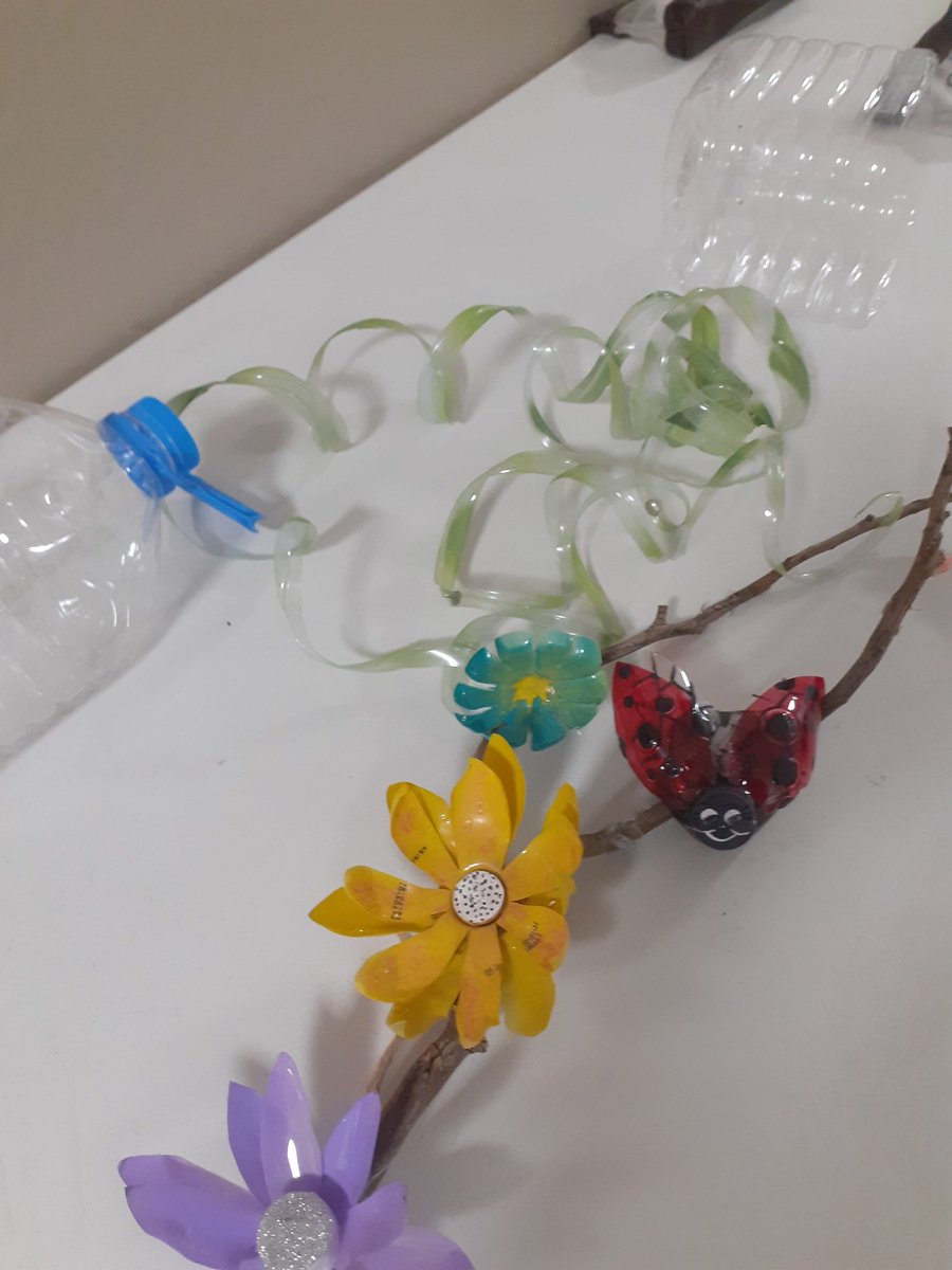 Nuevas ideas de #reciclaje con botellas plásticas, tapas y papeleras en desuso!🌳
#SantaBarbaraAndOceanClub