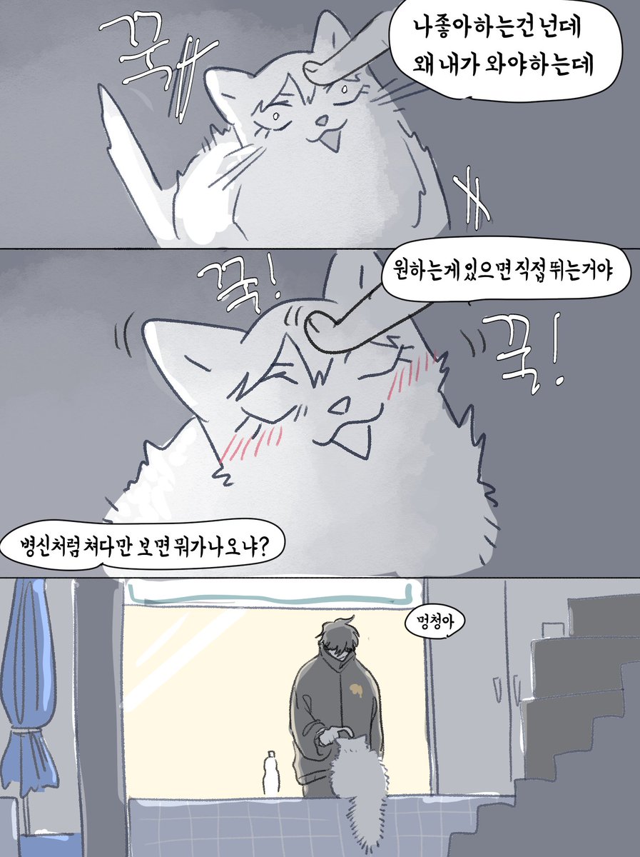 mellowmellow666's tweet photo. 냥고상언과 불면의밤 쫑언 https://t.co/lXVYprtfNw