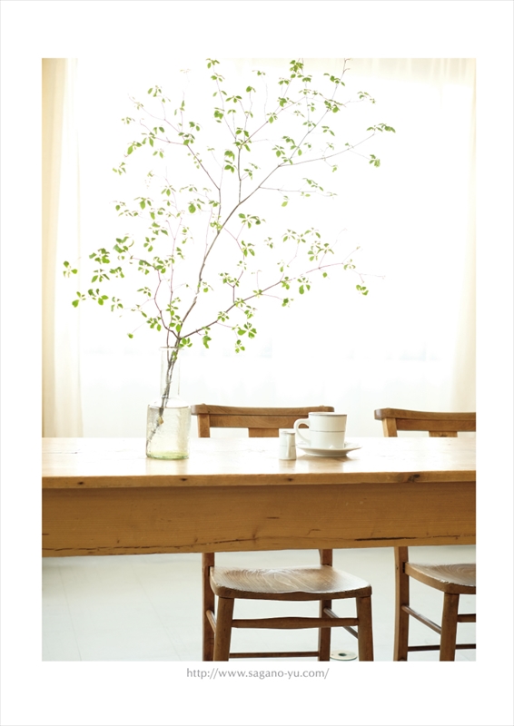 嵐山、初夏のおもてなしは、新緑です。
心地イイ、緑溢れる空気感を、
存分、楽しんで行って下さい。
そして、脇役として、
カフェスタイルリゾート嵯峨野湯で、
のんびりとお過ごし下さい。

#♨☕

#嵐山クッキー
#ArashiyamaCookie