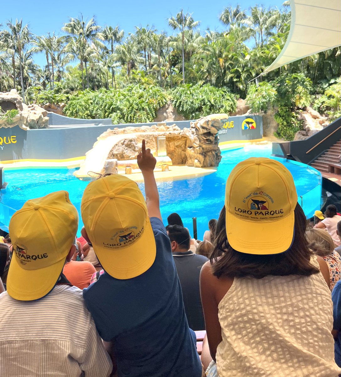 The environmental education work that we carry out in modern zoos and aquariums is essential to strengthen the bond between humans and nature, especially in a society that is increasingly concentrated in urban areas.