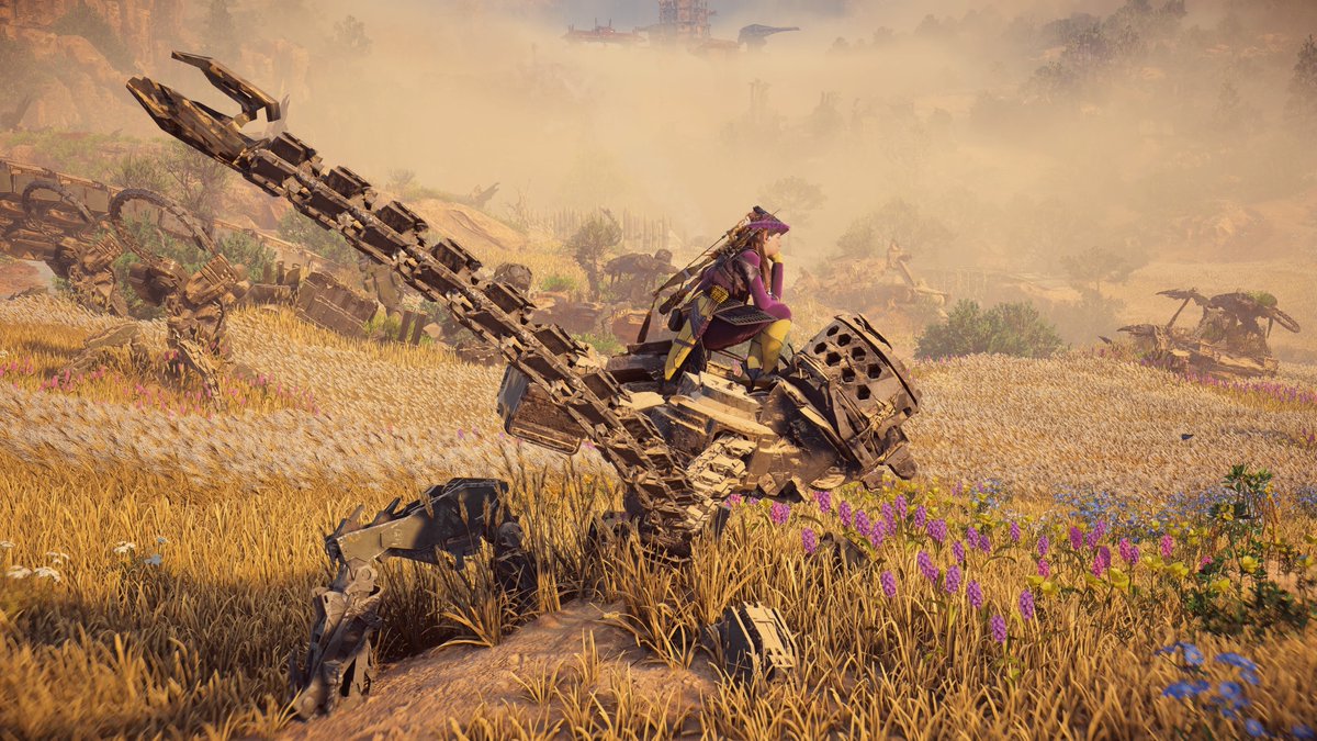 Robdiculous1's tweet photo. A day in the life
#PS5Share #HorizonForbiddenWest   #BeyondtheHorizon @Guerrilla https://t.co/yMQzFsHWbf