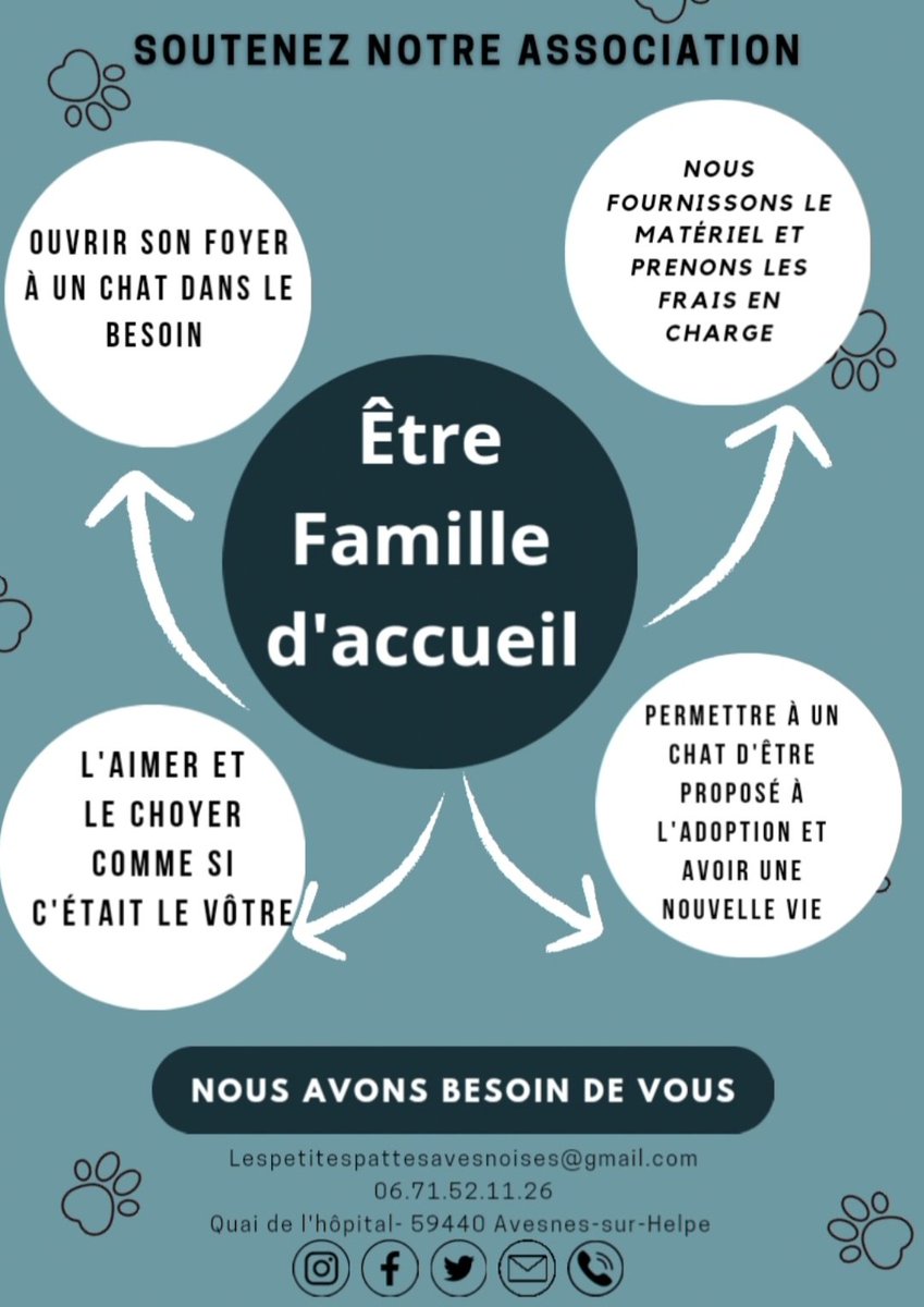 La famille d'accueil est l'étape primordiale à toute prise en charge. C'est le premier pas vers la nouvelle vie du chat. 
#lespetitespattesavesnoises #avesnessurhelpe #association #adoption #chat #sos #familledaccueil #aulocalaujourdhui 
#avisderecherche #chatperdu #solidarité