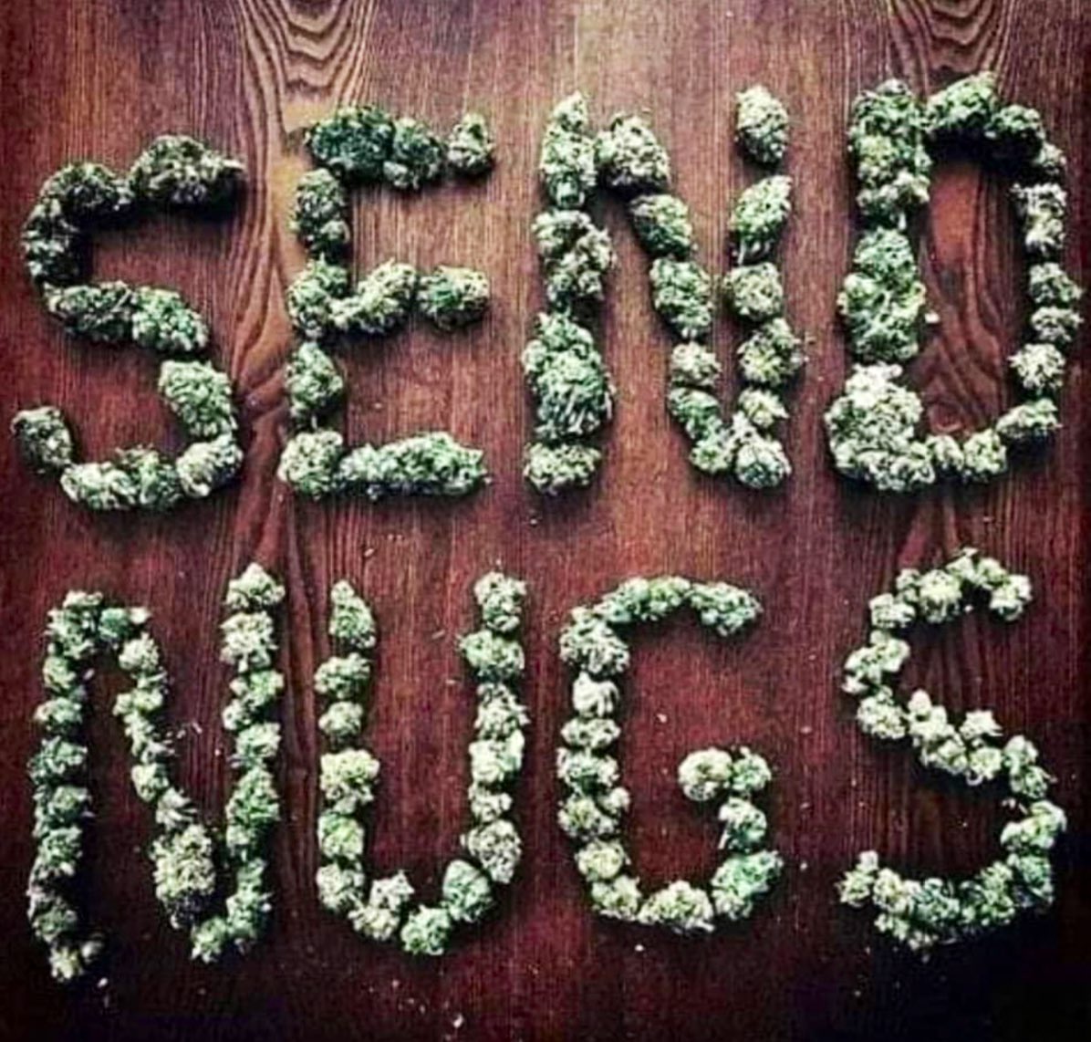 AngelOfIndica's tweet photo. 🆘 #Mmemberville #CannabisCommunity #cannabisindustry https://t.co/HDzfbKudI4