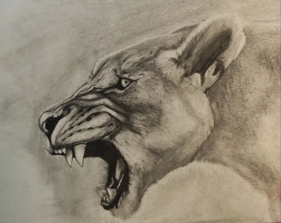 Drakimi ✨ tweet media