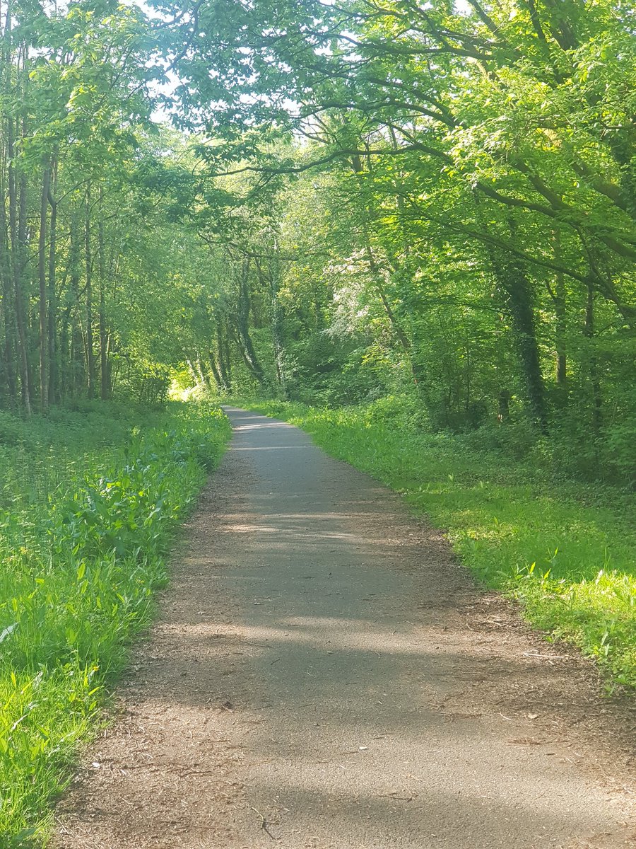 Lee Davies tweet media