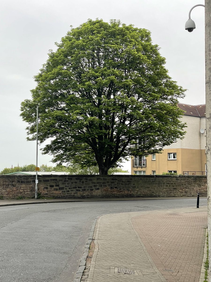 ALASTAIR CAMPBELL tweet media