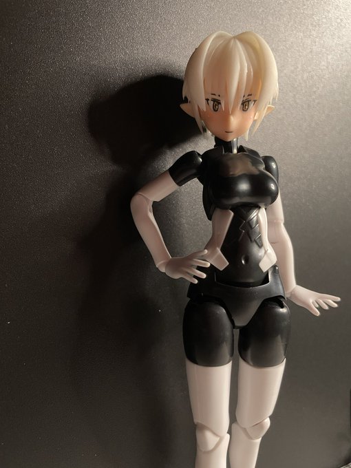 お買い求めしやすい価格 フリル付 メンデルスゾーン 12枚ゴン娘 ガイア
