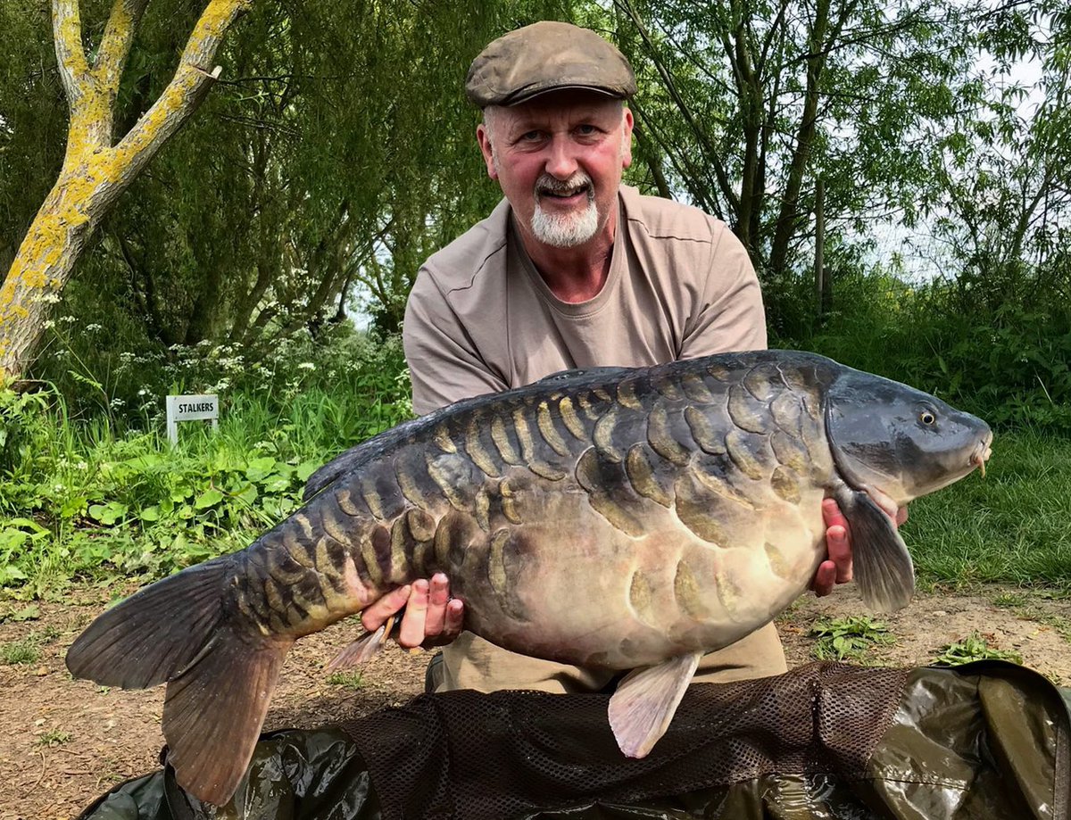 FLIP side of a 39lb creature from @THEMILL 😎