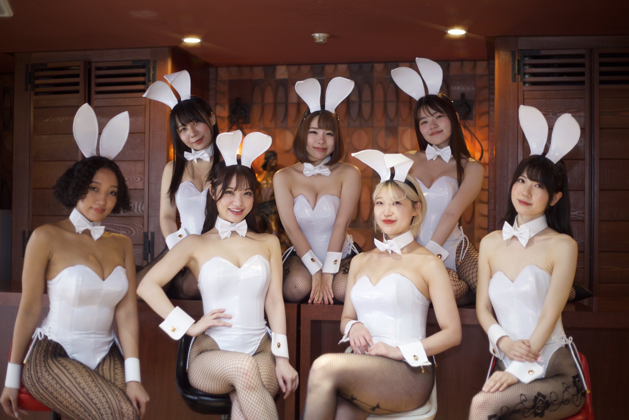 期間限定最終値下げ　アトリエダーム バニーガール Tバック 7号 バニー バニーガール 通販 Tバックタイプ アトリエ ダーム