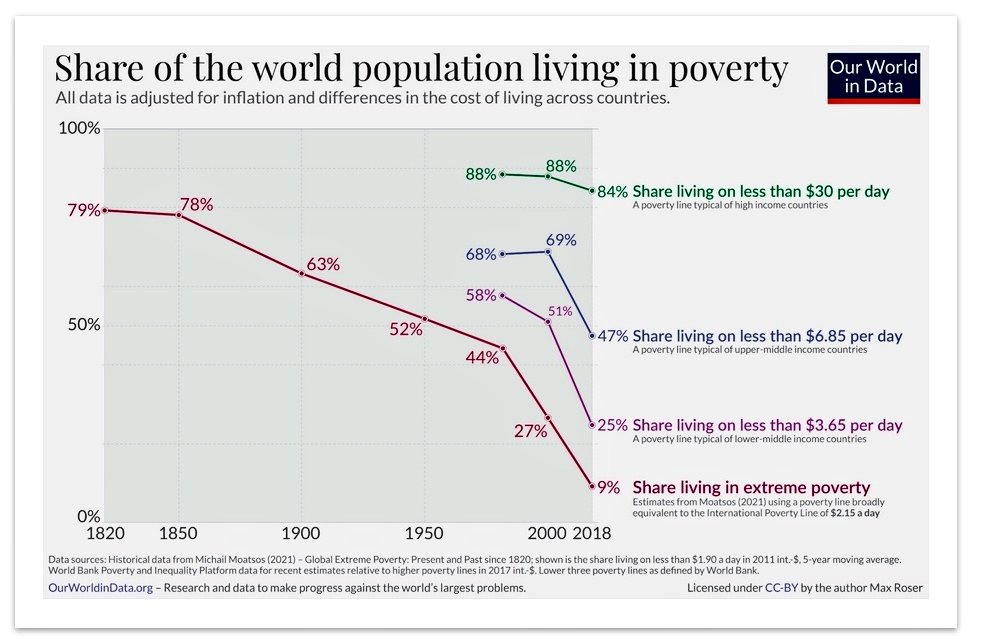 Dina D. Pomeranz 🟣 tweet media