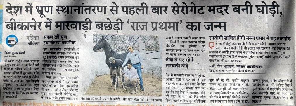 amit_khilery's tweet photo. this is a big breakthrough..
Mare became surrogate mother for the first time in the country by embryo transfer...
Birth of Marwari filly "Raj Prathama" in  Bikaner...
#NRCE @icarindia https://t.co/lwyQyzHyme