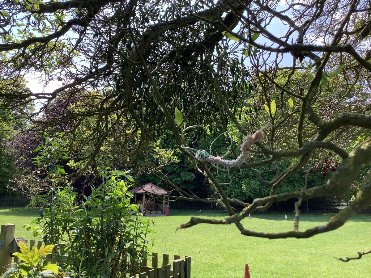 EBprimarysch's tweet image. Year 3 Art - 3D Sculpture
This has been one of our favourite art units so far this year. Inspired by the work of Louise Bourgeois, the children have combined form and texture to create 3D insects. Then they installed them in the environment! @Curriculum_USP @jane_janieryder