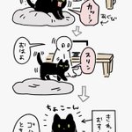 これはたしかに負けちゃいそう･･･!ごはん食べたいアピールをする愛猫のお話を描いた、可愛すぎる猫漫画!