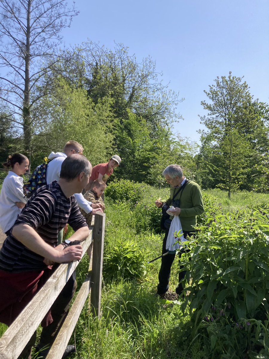 artbranches's tweet image. #artaroundtown @West_Suffolk @westsuffolkhive @BuryLung head on down to abbey gardens today