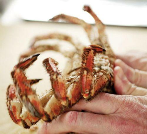Cooking fresh crab: Gordon Ramsay gives you the secrets to preparing and cooking fresh crab #seasonal #recipe https://t.co/rPXq3sqiU1 https://t.co/qnsqao77Ly