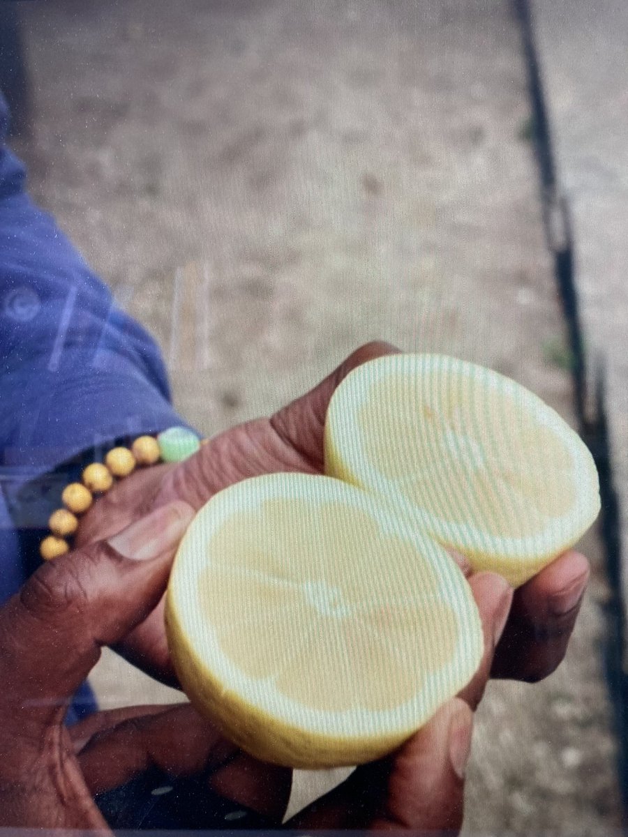 The Lemon Grove tweet media