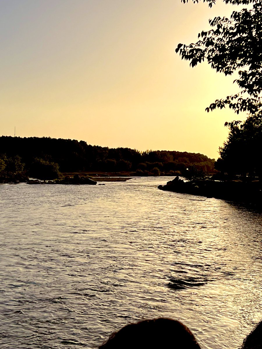 sohheill tweet media