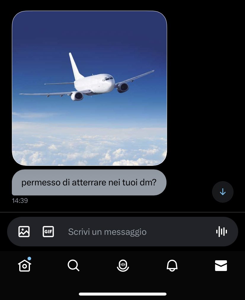 marti🦕 tweet media