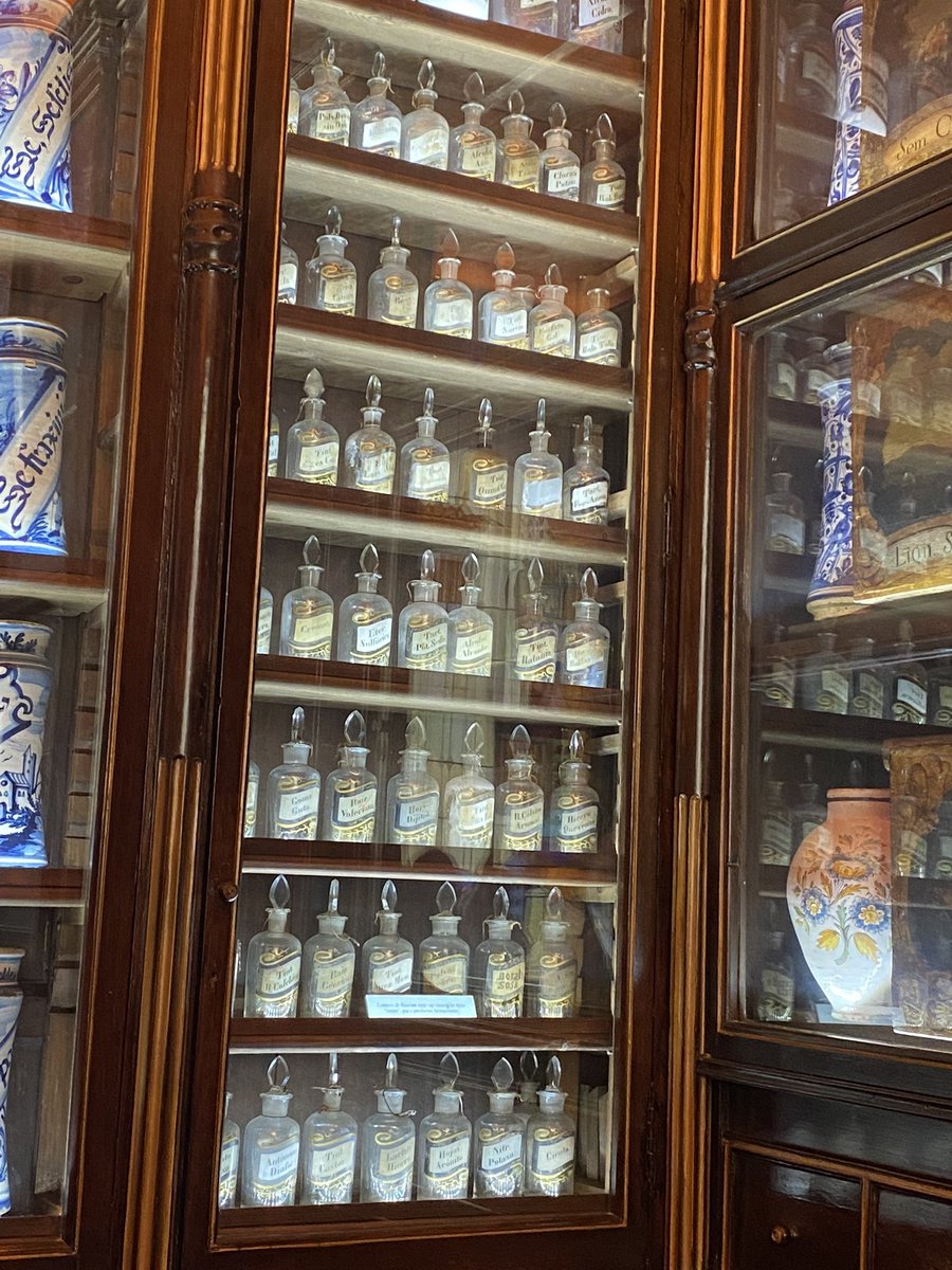 aepfi's tweet photo. 🇪🇸 Programme | J4

La journée a commencé avec une expérience unique, lors d’une visite guidée au musée de la pharmacie.

Entre mythologie grecque, origine de la coupe d’Hygie et anciens principes actifs, nos participants ont pu découvrir les fondements de leur futur métier 🐍💊 https://t.co/bi4stkmPSo