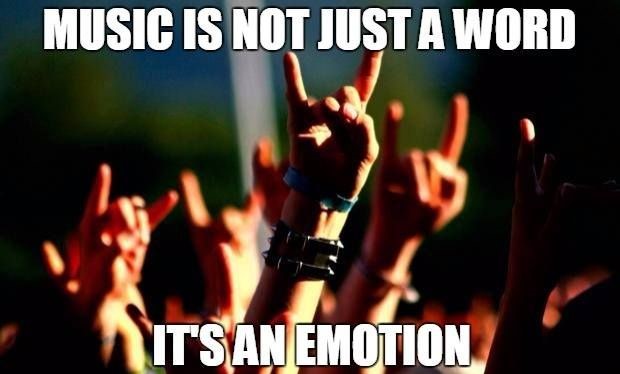 lisa matthews tweet media