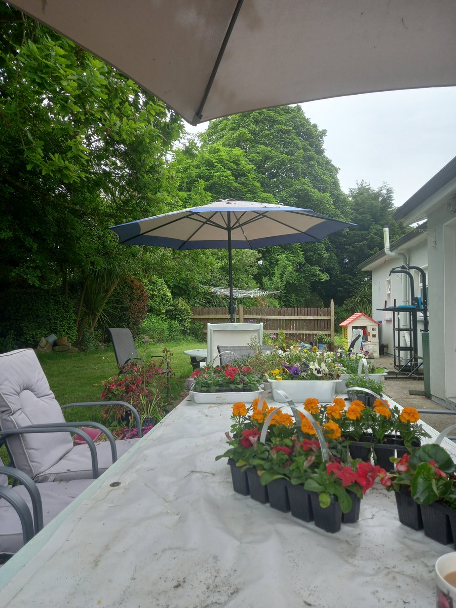 #hangingbasket preparation zone. #summergarden