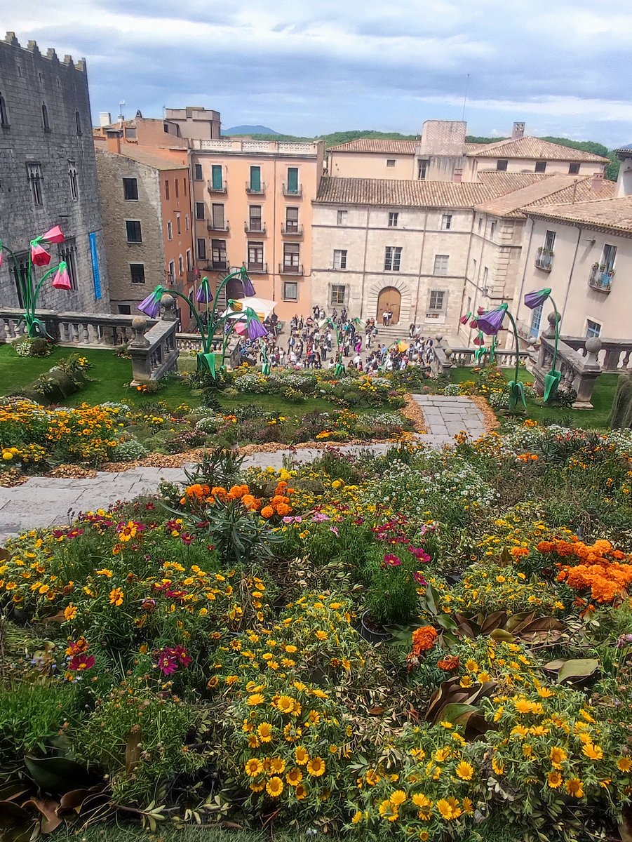 #TempsDeFlors
#GironaTempsDeFlors
Paseo matutino con mi Cris. Como cada año, Girona se viste de flores... espectacular 🌷🌺🌸🏵️😍😍😍