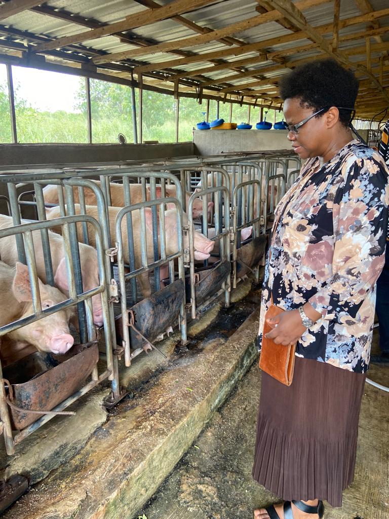 chinwe_ochu's tweet photo. #OneHealth from rhetoric to action! @NCDCgov explores with @UIbadan, @FDevelopme, @nvrivom &amp; @UniversityLeeds in #URBANE Project how agroecological practices impact #PublicHealth. The Nigerian #OneHealth mini-consortium is working with Ibadan farmers in this Farm-to-Fork project. https://t.co/u3BAjBiEoS