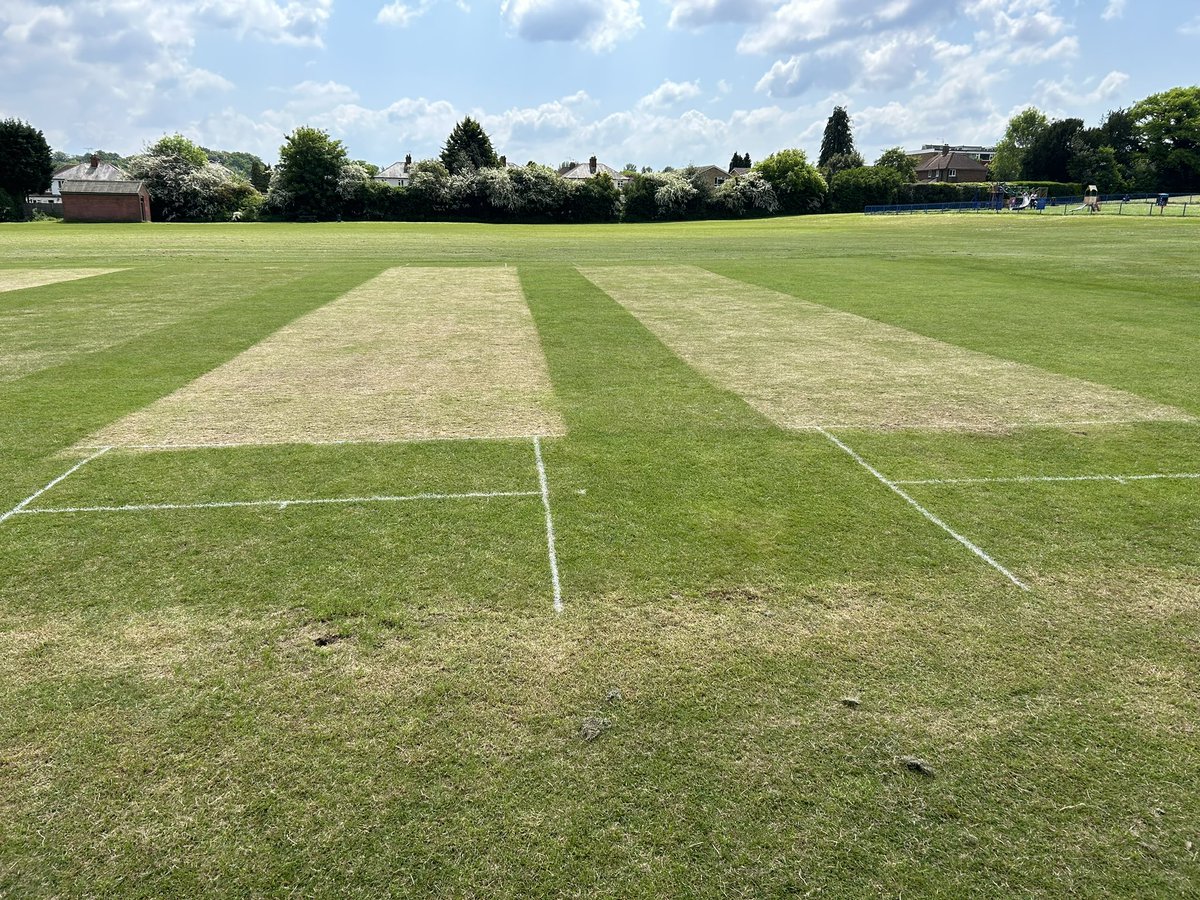 Mike Walsh tweet media