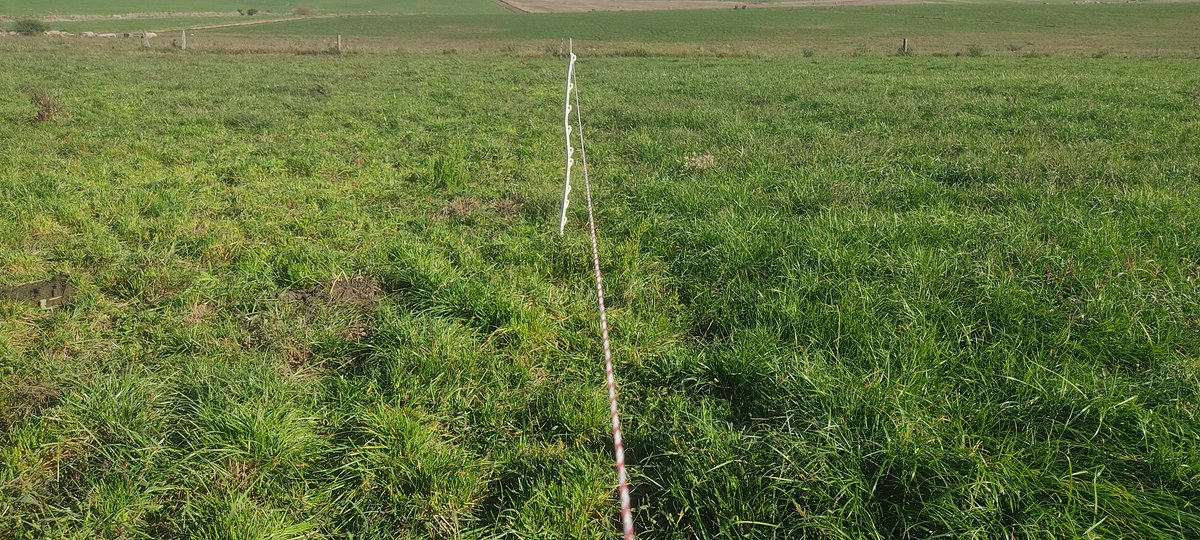 Juanchi Tafernaberry tweet media