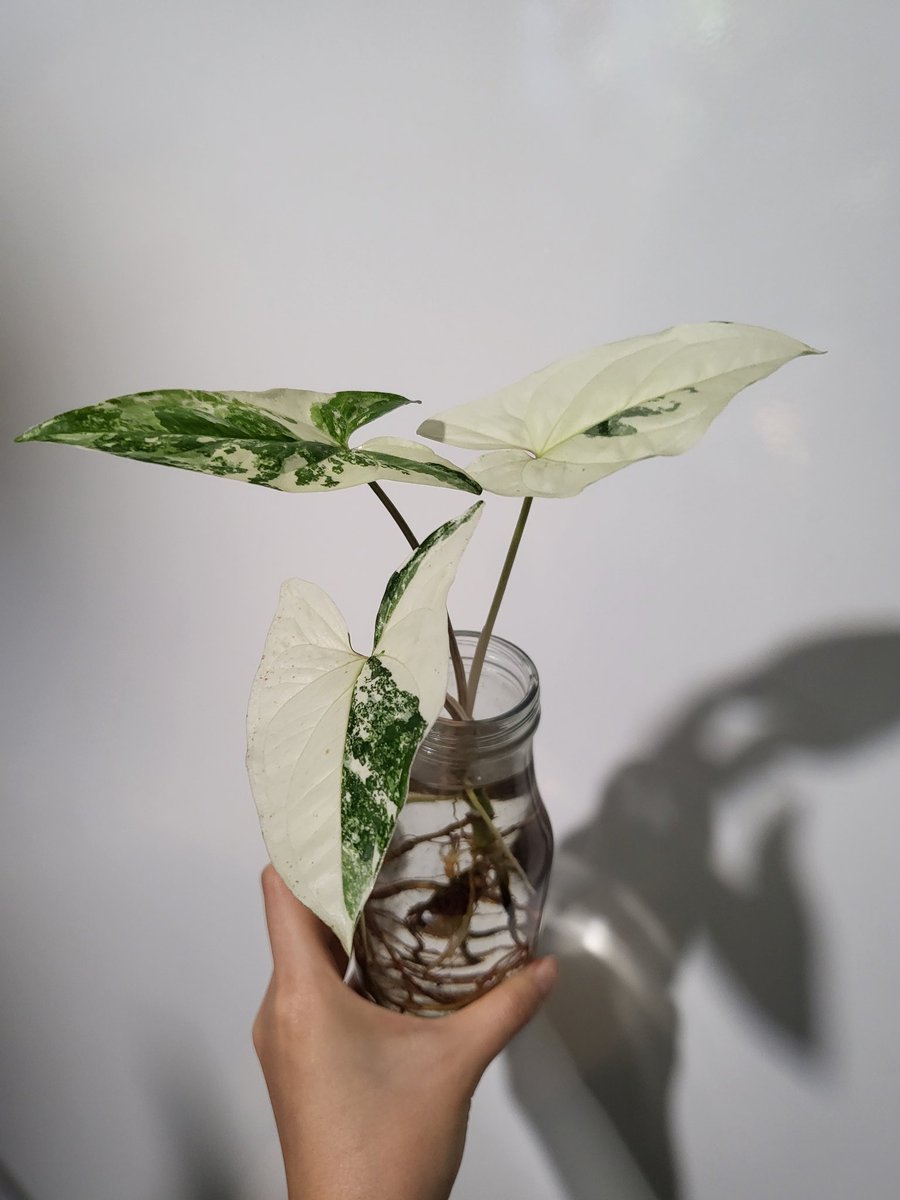 23.02.28~23.05.20 무싱이