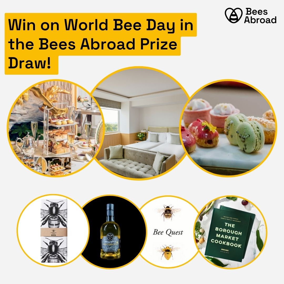 It's World Bee Day! Why not celebrate by entering our Prize Draw? Enter for a chance to win one of seven great prizes AND support sustainable beekeeping projects 🌍🐝💚 uk.givergy.com/BeesAbroadPriz… #WorldBeeDay #WorldBeeDay2023