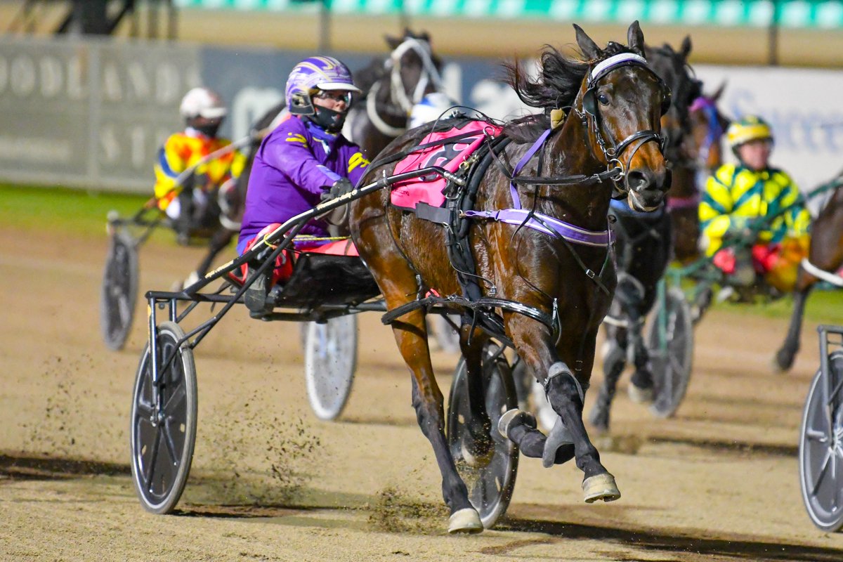 Club Menangle tweet media