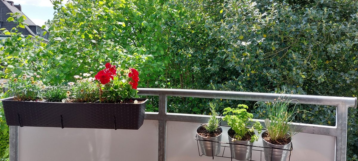 Ich habe irgendwie schon ganz schön #sommersehnsucht....wenn ich den Wind ignoriere, geht's klar :]